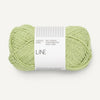 9523 Lime Punch