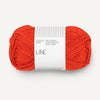 3819 Spicy Orange