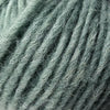 822 Lichen